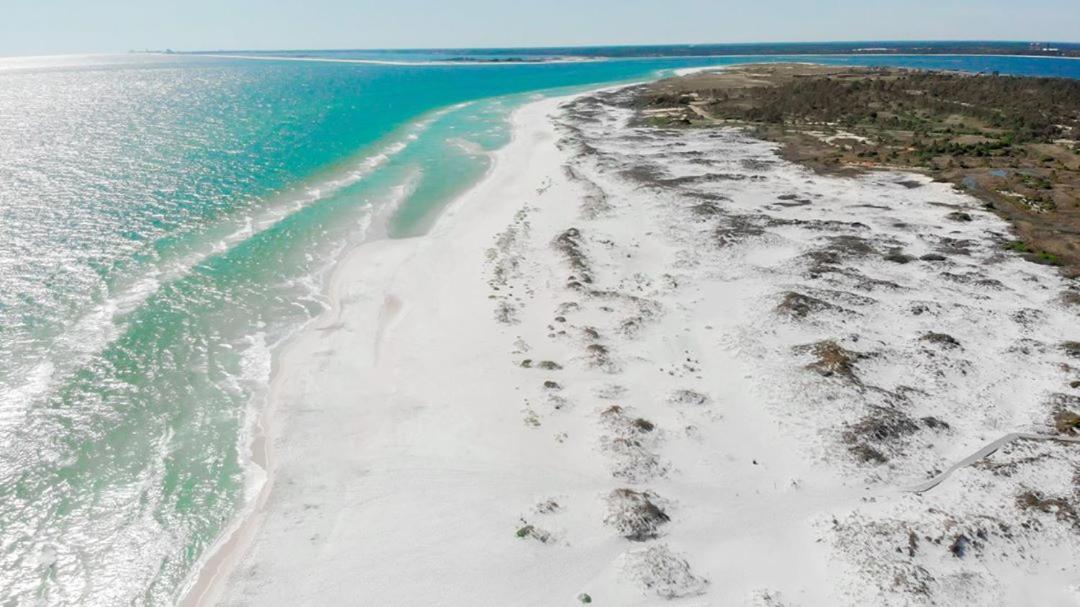 Private, Quiet-Close To Dwntn Pensacola, Stadium, Beaches Villa Екстериор снимка